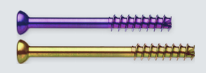 Lapiplasty Interfrag Screw