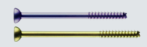 Lapiplasty Interfrag Screw