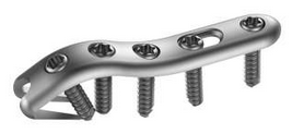 Jones Hook Plate