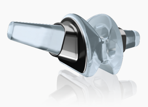 RTS Flexible Great Toe Implant
