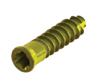 MiniBunion screw