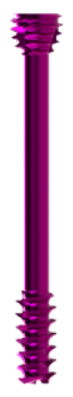 Crossroads Headless Screw