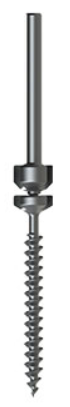Crossroads Snap-Off Screw