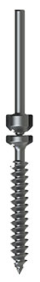 Crossroads Snap-Off Screw