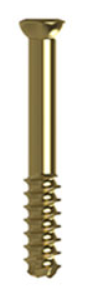 Crossroads Headed Screw