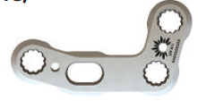 Lapidus Plate