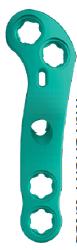 PolyLock Maverick Lapidus Plate
