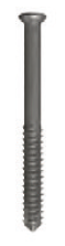 Jones Screw