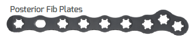 PolyLock Posterior Anatomical Fibula Plate