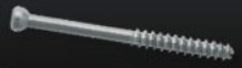 Arthrex QuickFix Screw