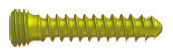 Locking Screw