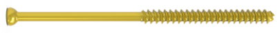 Headed Cannulated Screw