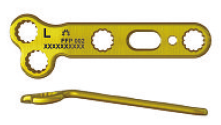 TMT Plate