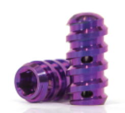 TalarLift Cylindrical Implant