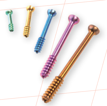 CSS Cannulated Screw System