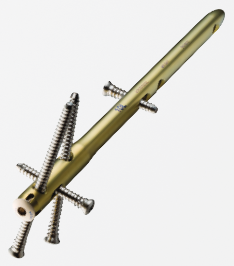 Valor Nail