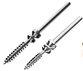 Charlotte Snapp-off screw