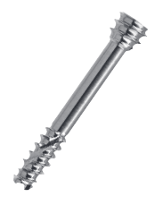 Charlotte Multi-use compression screw