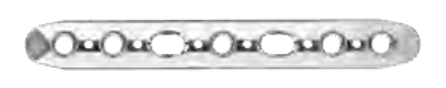 ANTHEM Small Fragment Straight Plate