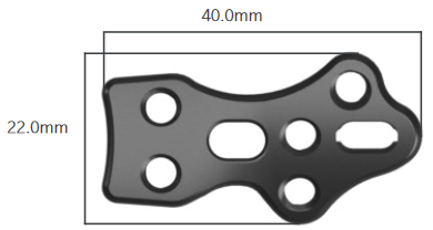 Stratum Naviculocuneiform Plate