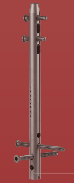 Oxford Nail