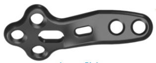 Stratum Calcaneocuboid Plate