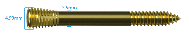 Incore Lapidus Screw