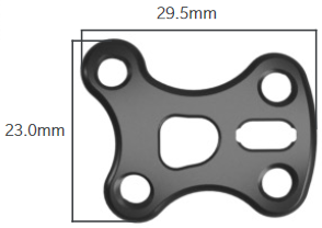 Stratum Talonavicular Plate