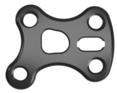 Stratum Talonavicular Plate