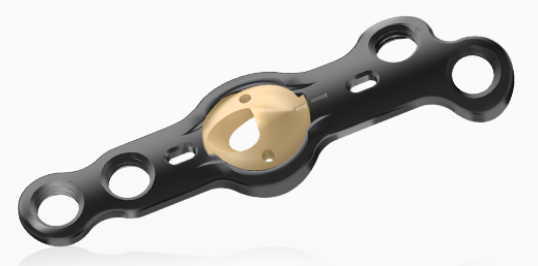 Colink®Plating Lapidus plate