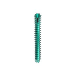 MIS Beveled Screw