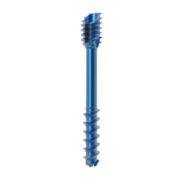 Twin MIS Beveled Screw