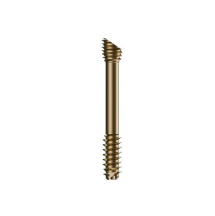 Footmotion S MIS Beveled Screw