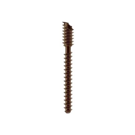 Mica Screw System (Beveled)