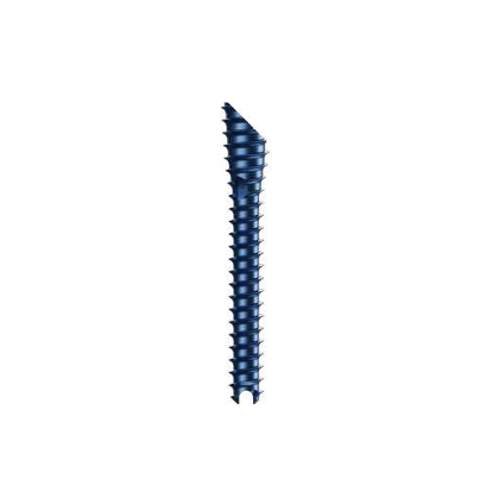 Footmotion S MIS Beveled Screw