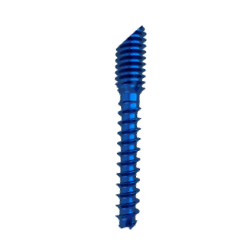 Cannulated Cut Screw (Beveled)