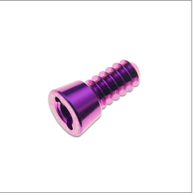 SubTalar Joint Stabilizer III