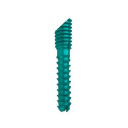 Cannulated Cut Screw (Beveled)