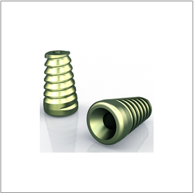 ARS Subtalar Screw